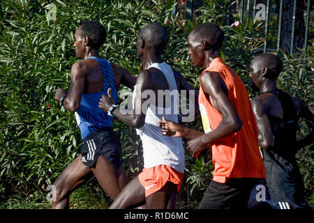 Gruppe der Elite Athleten von Marathon werden gesehen, während die Athen Marathon, der verbindlich ist. Stockfoto