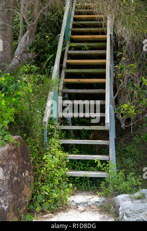 Überwucherte lackierte Treppe am Strand. Stockfoto