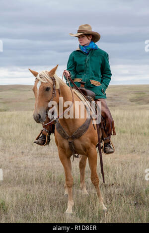 Cowhands im Feld in South Dakota Stockfoto