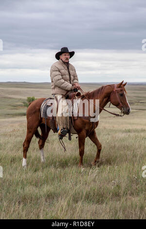 Cowhands im Feld in South Dakota Stockfoto