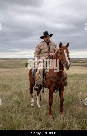 Cowhands im Feld in South Dakota Stockfoto