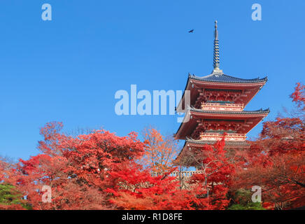Die Pagode am Kiyomizu-dera Tempel mit bunten rote Blätter Stockfoto