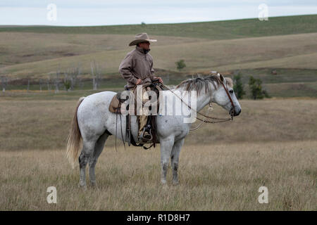 Cowhands im Feld in South Dakota Stockfoto