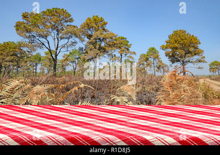 Picknick im Hintergrund mit Picknicktisch. Stockfoto