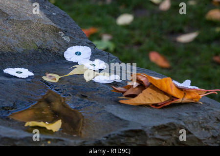 London, Großbritannien. 11. November 2018. Weiß Frieden Mohnblumen auf der Kdv-Stein in Tavistock Square während einer Erinnerung Tag der Zeremonie des Gedenkens und des Friedens auf das 100-jährige Jubiläum der Unterzeichnung der Waffenstillstand, dem Ende des ersten Weltkriegs markiert. Credit: Mark Kerrison/Alamy leben Nachrichten Stockfoto