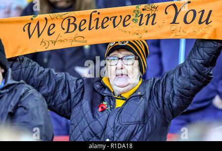 London, Großbritannien. 11. Nov 2018. Ein engagierter Verfechter der Wolverhampton Wanderers in die Premier League Spiel zwischen Arsenal und Wolverhampton Wanderers im Emirates Stadium, London, England am 11. November 2018. Foto von Phil Hutchinson. Nur die redaktionelle Nutzung, eine Lizenz für die gewerbliche Nutzung erforderlich. Keine Verwendung in Wetten, Spiele oder einer einzelnen Verein/Liga/player Publikationen. Credit: UK Sport Pics Ltd/Alamy leben Nachrichten Stockfoto