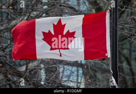 Montreal, Kanada, 11. November 2018. Die kanadischen Flagge auf Halbmast Fliegen für den Tag der Erinnerung Zeremonien. Credit: Mario Beauregard/Ala, y Leben Nachrichten Stockfoto