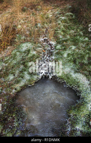 Frozen forest Stream umgeben von Moos bedeckt mit Frost. Stockfoto