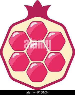 Vektor Granatapfel Symbol Ausschneiden. garnett Obst halb auf weißem Hintergrund. Flat Style grafische Darstellung. Stock Vektor