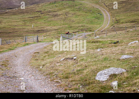 Weg zu Culswick Broch, Festland, Shetland, Großbritannien Stockfoto