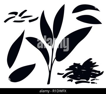 Schwarze Silhouette. Frische Teeblätter und Stapel trocken Tee. Grüner Tee für Design, Werbung und Verpackung. Flache Vector Illustration auf weißen Hinterg isoliert Stock Vektor