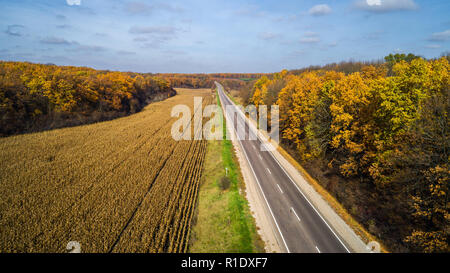 Luftaufnahme der Straße im Herbst Wald bei Sonnenuntergang. Fantastische Landschaft mit landwirtschaftlichen Straße, Bäume mit roten und orangefarbenen Blätter in einem Tag nahe der Maisfeld Stockfoto