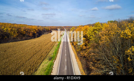 Luftaufnahme der Straße im Herbst Wald bei Sonnenuntergang. Fantastische Landschaft mit landwirtschaftlichen Straße, Bäume mit roten und orangefarbenen Blätter in einem Tag nahe der Maisfeld Stockfoto