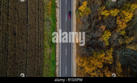 Luftaufnahme der Straße im Herbst Wald bei Sonnenuntergang. Fantastische Landschaft mit landwirtschaftlichen Straße, Bäume mit roten und orangefarbenen Blätter in einem Tag nahe der Maisfeld Stockfoto