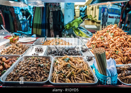 Gebratene Insekten auf den Straßen von Bangkok, Thailand Stockfoto