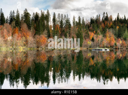 Herbst Farbe Wald und Blattwerk Landschaft umgeben einen idyllischen Bergsee in den Alpen der Schweiz, an einem späten Herbsttag mit Reflexionen im ... Stockfoto