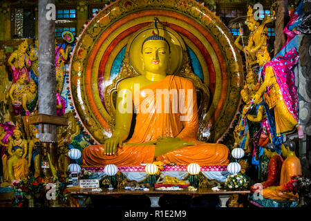 Gangaramaya Tempel, Colombo, Sri Lanka Stockfoto