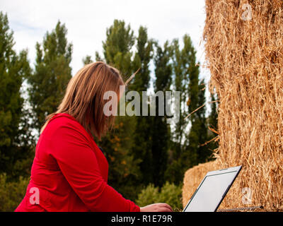 Ein Unternehmer junge Frau arbeiten im Freien auf einem Bauernhof mit einem Laptop über eine Heu Ballen Stockfoto