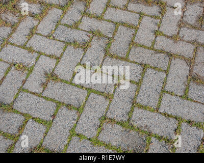 Gras und Unkraut wachsen durch Risse im gepflasterten Bereich. Stockfoto