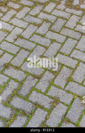 Gras und Unkraut wachsen durch Risse im gepflasterten Bereich. Stockfoto