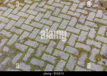 Gras und Unkraut wachsen durch Risse im gepflasterten Bereich. Stockfoto