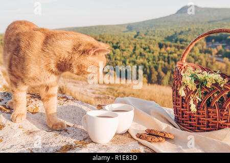 Neugierig rote Katze und Picknick im Grünen. Zwei Kaffeetassen und hausgemachte Kekse. Sommer oder Herbst Wochenende Konzept Stockfoto