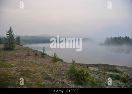 Misty Morning auf der Taiga Fluss. Trübe Wasser Landschaft der Polar Ural. Stockfoto