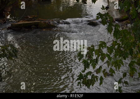 Herbst Landschaften Sweetwater Creek am Sweetwater Ente Park Stockfoto