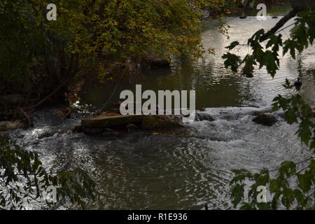 Herbst Landschaften Sweetwater Creek am Sweetwater Ente Park Stockfoto