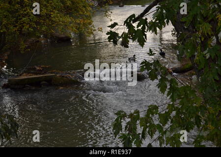 Herbst Landschaften Sweetwater Creek am Sweetwater Ente Park Stockfoto