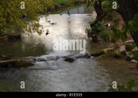 Herbst Landschaften Sweetwater Creek am Sweetwater Ente Park Stockfoto