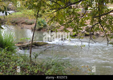 Herbst Landschaften Sweetwater Creek am Sweetwater Ente Park Stockfoto