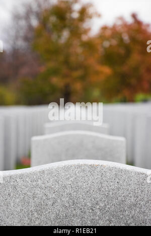 Grabdenkmäler der gefallenen Soldaten im Zweiten Weltkrieg - Buchenholz National Cemetery, Ottawa, Ontario, Kanada Stockfoto