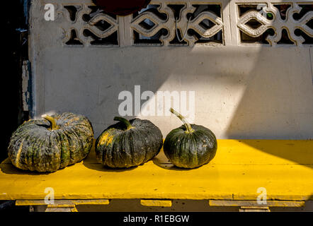 Drei Kürbisse sitzen auf einem gelben Regal vor eine weiße Wand mit Schatten. Stockfoto