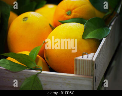 Frische Orangen auf dem Markt Stockfoto
