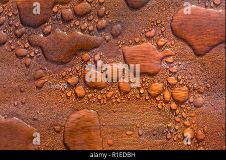 Wasser Perlen auf einer wasserdichten Holz- Oberfläche Stockfoto