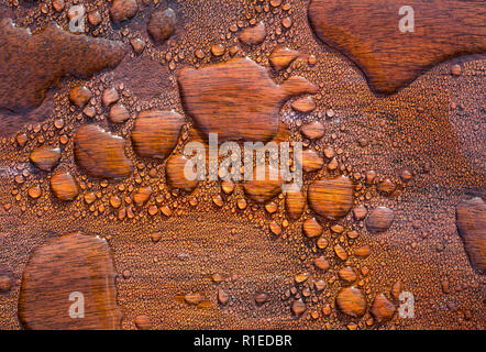 Wassertropfen auf einem wasserfesten Holz- Oberfläche Stockfoto