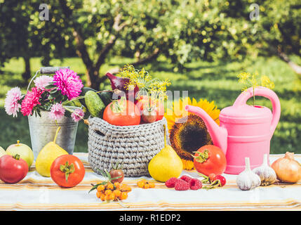 Spaß und verspielten Satz von verschiedenen Gemüse und Obst auf den Tisch mit Eimer voller Astern und pink Gießkanne im Freien im Herbst, Ernte conce Stockfoto