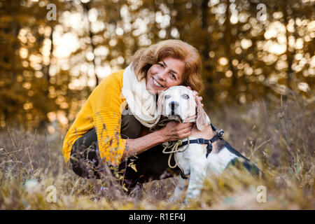 Eine ältere Frau mit einem Hund in einem Herbst Natur bei Sonnenuntergang. Stockfoto