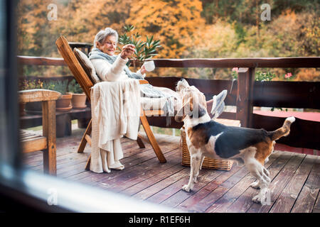 Eine ältere Frau mit einem Hund sitzen draußen auf der Terrasse an einem sonnigen Tag im Herbst. Stockfoto