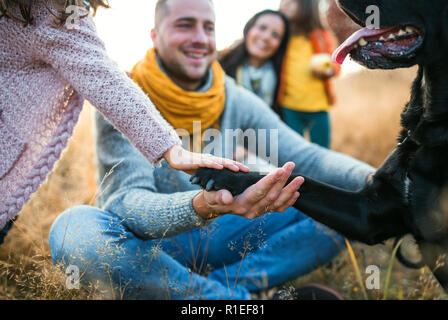 Eine junge Familie mit zwei kleinen Kindern und einem Hund sitzen auf Gras im Herbst Natur. Stockfoto