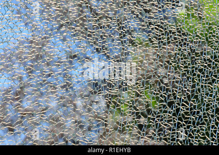 Vorgespanntes Glas Fenster zerbrochen Stockfoto