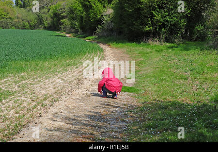 Drei Jahre alten Jungen Prüfung Kaninchen Titel und Dung auf einem Fußweg neben einer Fläche von Kaninchen Schäden auf ein Weizen. Kalter Frühling Tag. Stockfoto