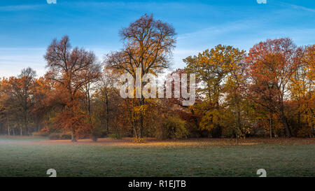 Herbst morgen im Clara Zetkin Park Leipzig | Herbstmorgen im Clara-Zetkin-Park Leipzig, Deutschland Stockfoto