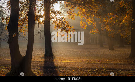 Herbst morgen im Clara Zetkin Park Leipzig | Herbstmorgen im Clara-Zetkin-Park Leipzig, Deutschland Stockfoto