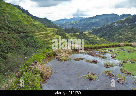 Die Banaue Rice Terraces sind in den Bergen von Ifugao auf den Philippinen von den Vorfahren der indigenen Bevölkerung geschnitzt. Stockfoto