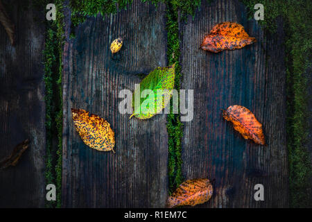 Farbenfrohe Herbstlaub auf rustikalen Holzmöbeln Hintergrund. Stockfoto
