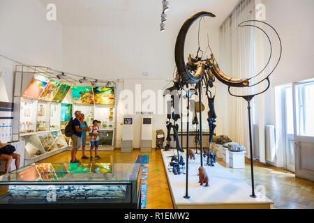 Mammut Skelett (Mammuthus primigenius). Stockfoto