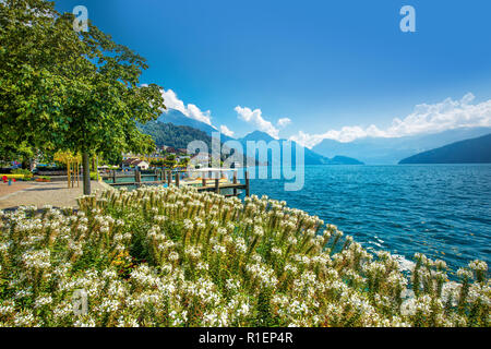 WEGGIS, Schweiz - 20 August 2018 - Dorf Weggis am Vierwaldstättersee (Vierwaldstatersee), Pilatus Berg und die Schweizer Alpen im Hintergrund in der Nähe von famou Stockfoto