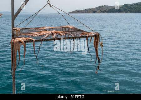 Octopus hängt oben in der Sonne im Griechischen Insel zu trocknen Stockfoto